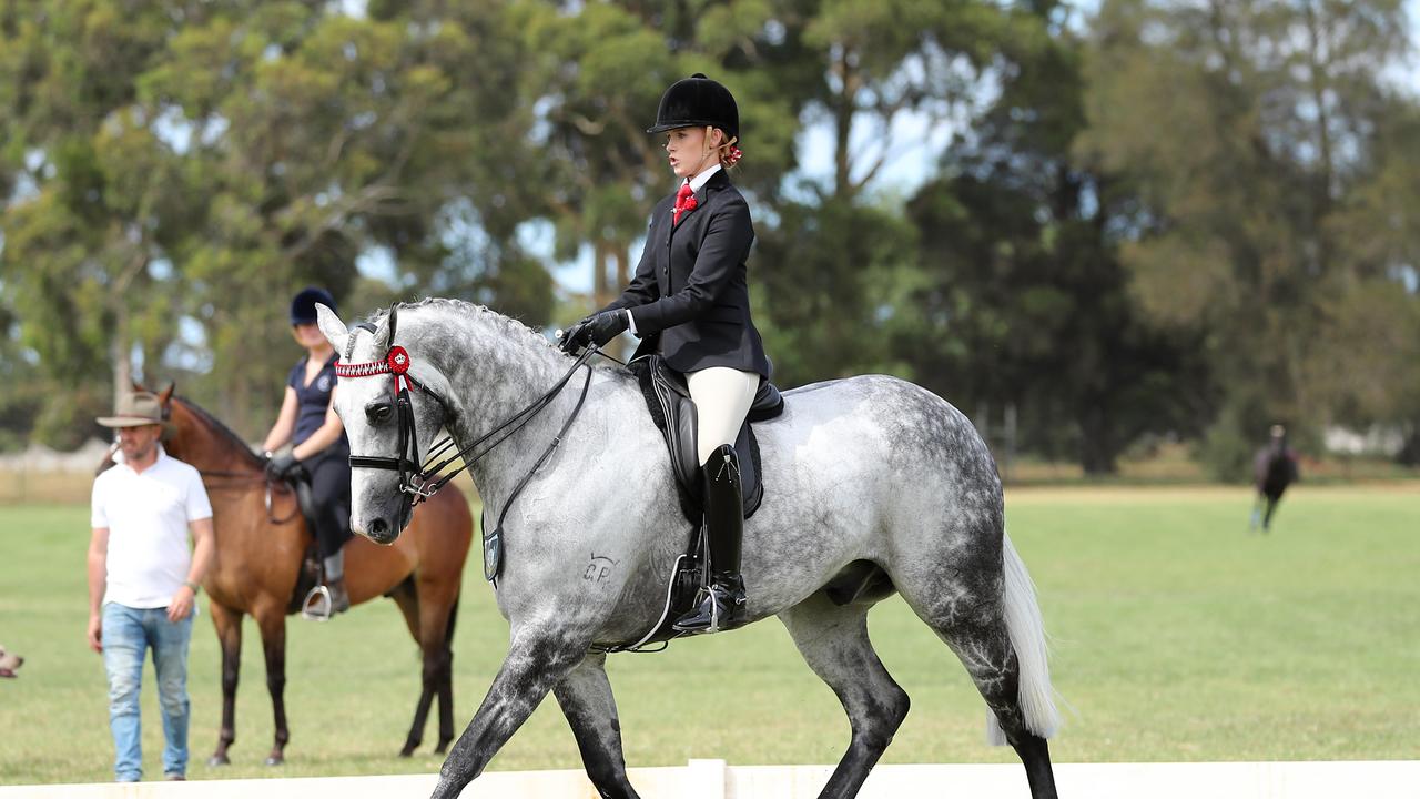 Dressage champ turns her hand to judging at Royal Sydney Show