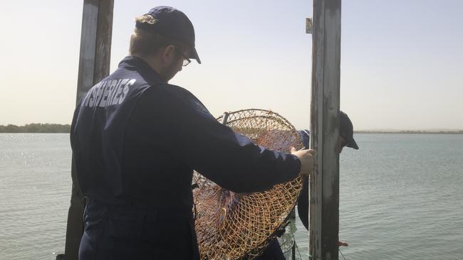 Fisheries officers inspect some of the soft-top crab pots left at Redland Bay.