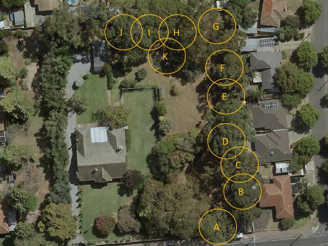 A map from Holdfast Bay Council depicting the trees that would be removed at 28 Sturt Rd, Brighton