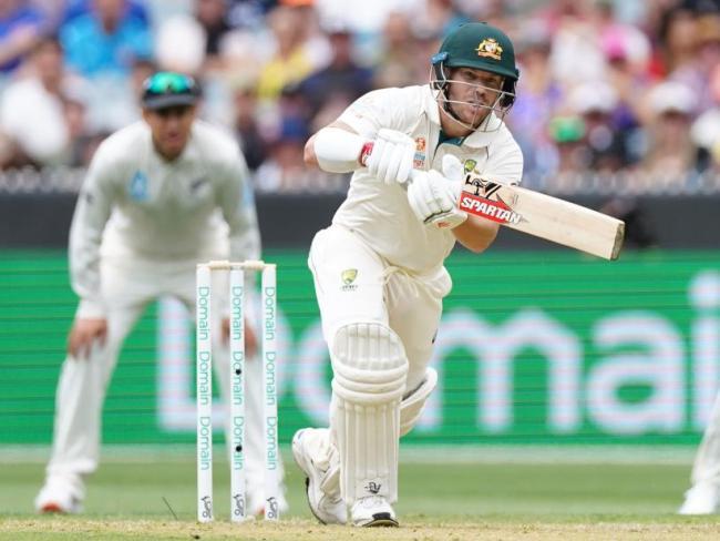 David Warner and Marnus Labuschagne put on a partnership to dull the New Zealand attack.