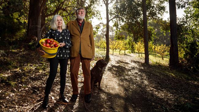 Lynne Uptin, husband Clive Crossley and dog Russet on their Tasmanian farm. Picture: Peter Mathew