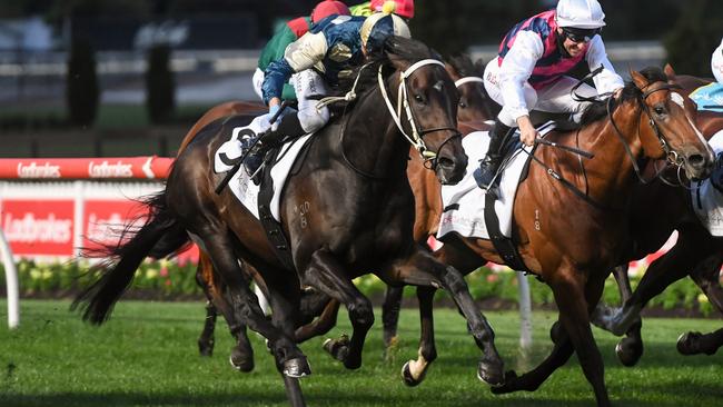 Forgot You will tackle Saturday week’s Group 2 Feehan Stakes at The Valley rather than Saturday’s Group 1 Memsie Stakes at Caulfield. Picture: Racing Photos via Getty Images.