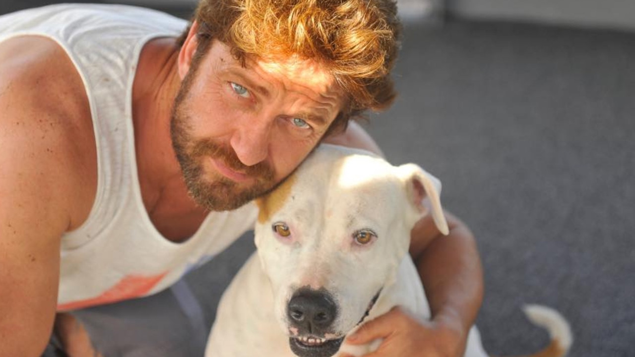 Scottish actor Gerard Butler with Matt Wright's dog.