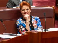 CANBERRA, AUSTRALIA, NewsWire Photos. DECEMBER 6, 2023: Senator Pauline Hanson during Question Time in the Senate at Parliament House in Canberra. Picture: NCA NewsWire / Martin Ollman