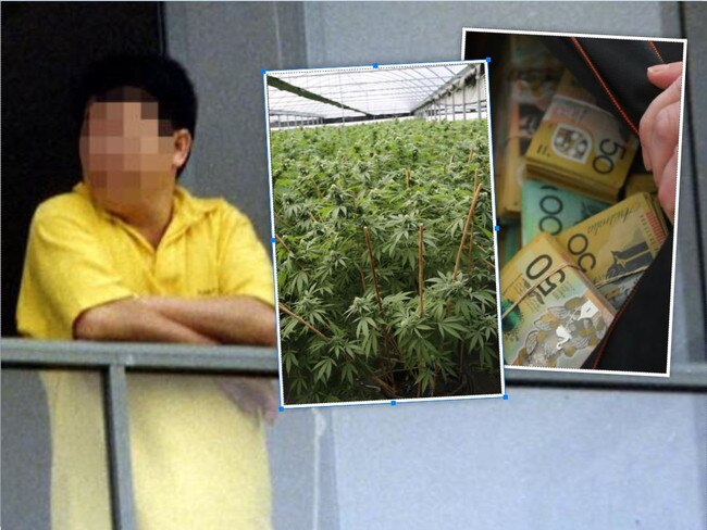 asian crime kingpin cannabis grab