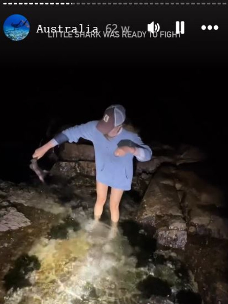 In other photos of her in Australia, she is seen picking up a baby shark. Picture: Instagram/SamJones