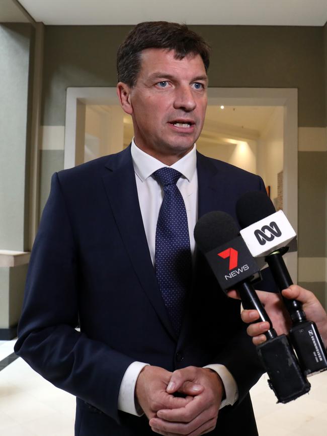 Federal Energy Minister Angus Taylor. Picture: James Croucher