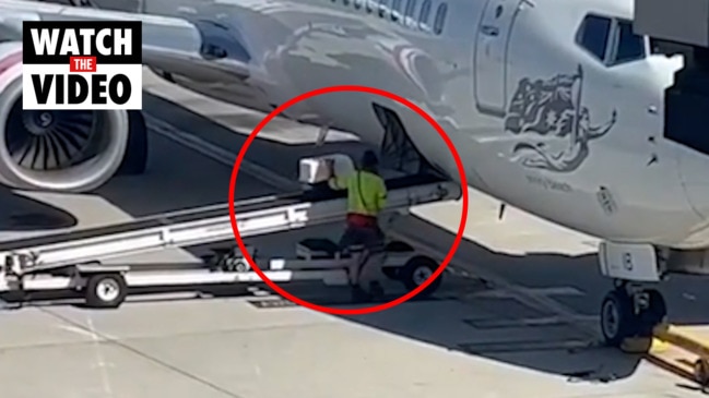 virgin-australia-baggage-handler-recognised-after-comforting-dog-in