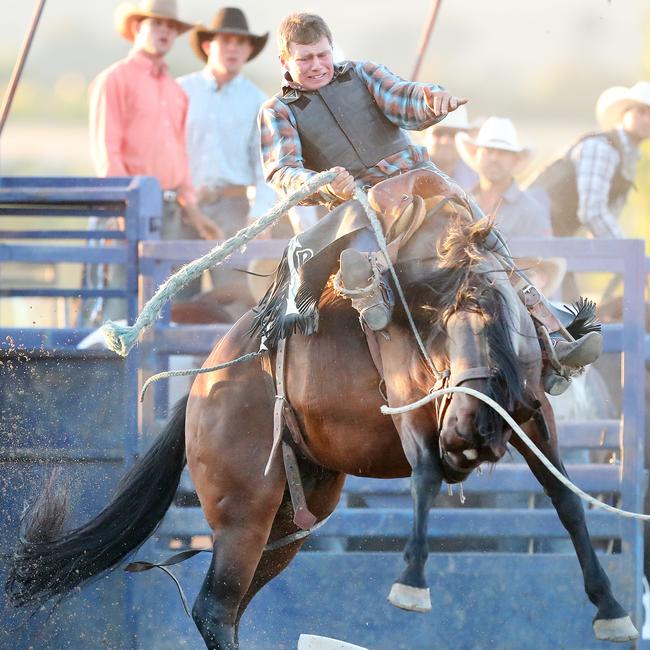 Billy Miller, on Buz, took out first place in the saddle bronc. Picture: Yuri Kouzmin