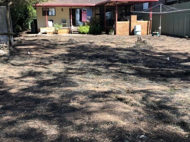 Rotting weed has engulfed properties at Tuggerawong after flooding