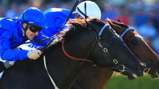 Question marks: Doomben Cup favourite Hauraki, shadowed by Complacent (nearest), is winless since March last year. Picture: Mark Evans