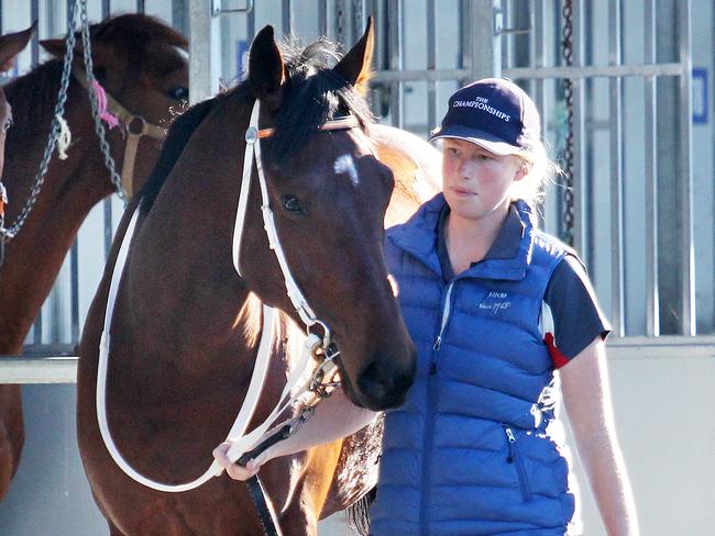 Stable hand Emma Bickley with Le Romain at the Barrier Trials at Wyong Picture by Mark Scott