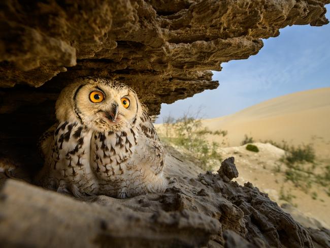 Cliff View ... Picture: Husain Hakin Alfraid, Saudi Arabia, 2nd Place, National Awards, 2017 Sony World Photography Awards