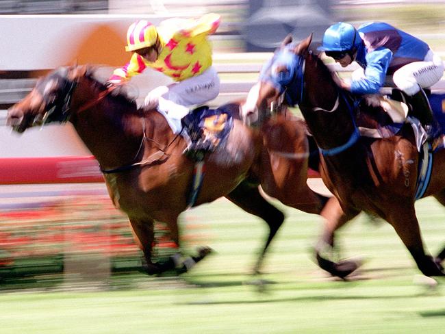 ## HAVE YOU /CHECKED COPYRIGHT /CLEARANCE ?? 11 Oct 2003 PicRay /Cash Generic Race pix for Melbourne Cup Special sport horseracing action