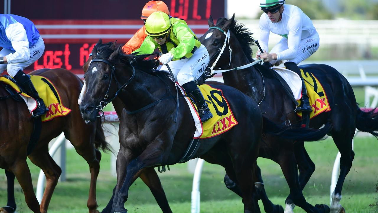 Supplied Editorial Caption for pic 1: Impressive three-year-old filly Scripted wins for trainer Matt Dunn and jockey Sam Collett at Doomben. Picture: Natasha Wood, Trackside Photography. Caption for pic 2: Winning right Sam Collett (right) after the win of Scripted at Doomben. Picture: Natasha Wood, Trackside Photography.