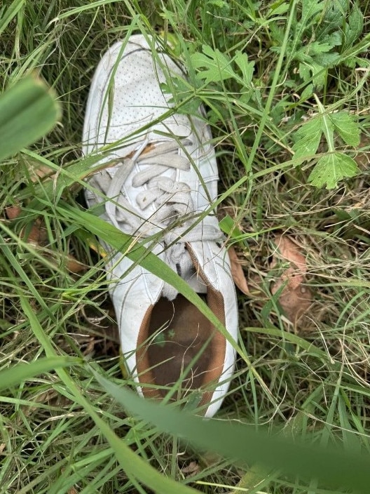 Police have found a shoe they believe belongs to Mr McLennan. Picture: Queensland Police.