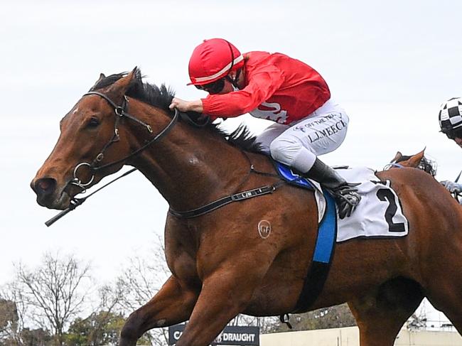 Sneaky Five ridden by Linda Meech wins the Thoroughbred Club Stakes at Caulfield Racecourse on October 09, 2021 in Caulfield, Australia. (Reg Ryan/Racing Photos via Getty Images)