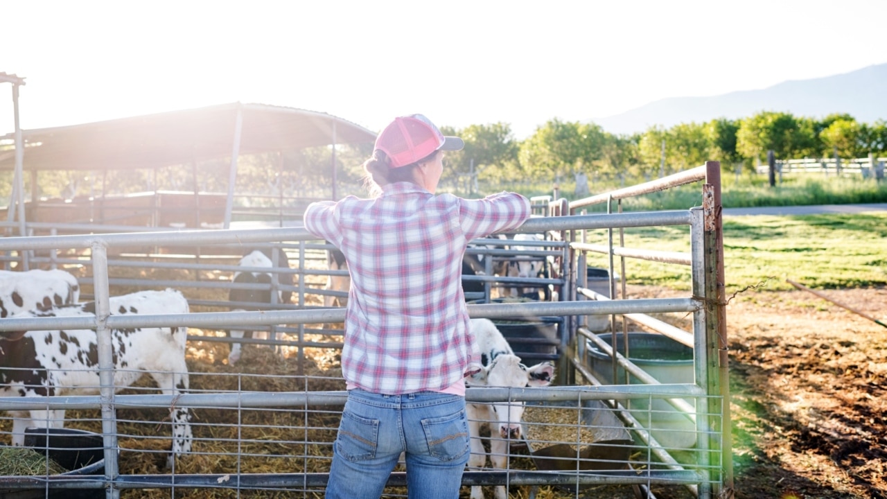 Albanese better make sure not to ‘damage our farm business'