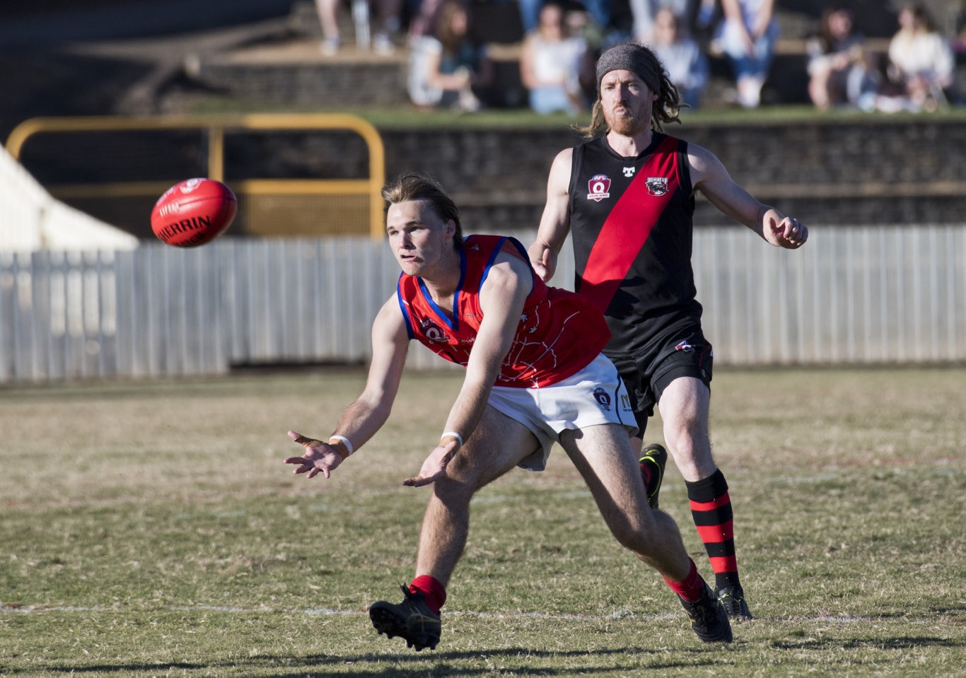 Lachlan Phyland, Warwick and Bradley Harrison, Bombers. Picture: Nev Madsen