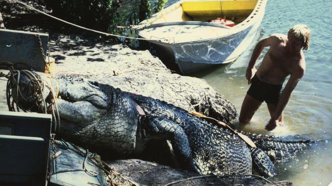 Sweetheart died during an attempt to removed him from the Finniss River and relocate him to a crocodile farm in 1979. PICTURE: Supplied