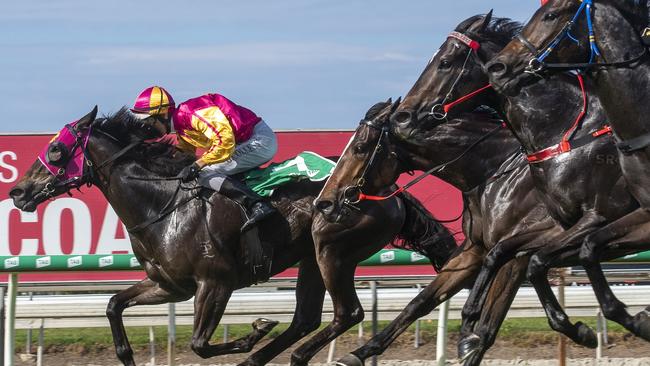 Jockey Glen Colless rode the David Fletcher-trained Pipe Dream Lass to a win in the Maiden Plate (900m) at the Gold Coast Turf Club on Saturday, June 15, 2019. Picture credit: Greg Irvine, Magic Millions.