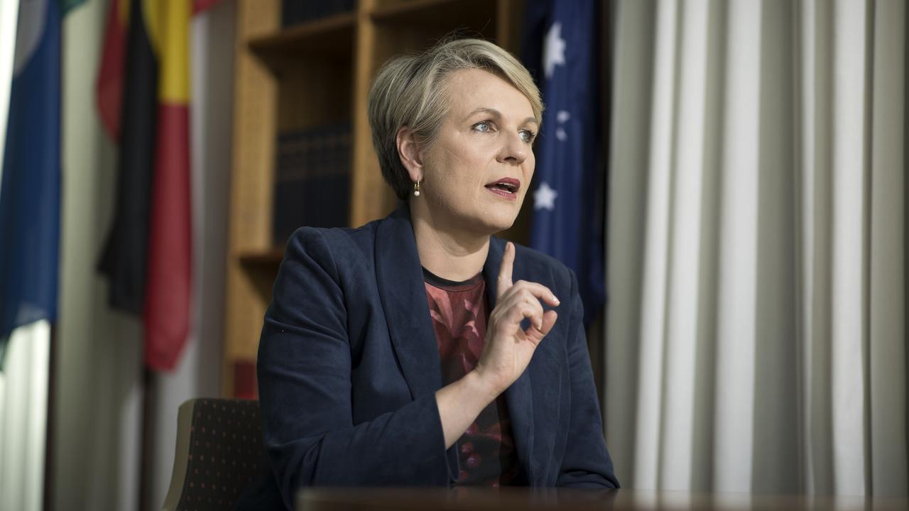 Tanya Plibersek To Refuse Clive Palmer Queensland Coal Mine | Herald Sun