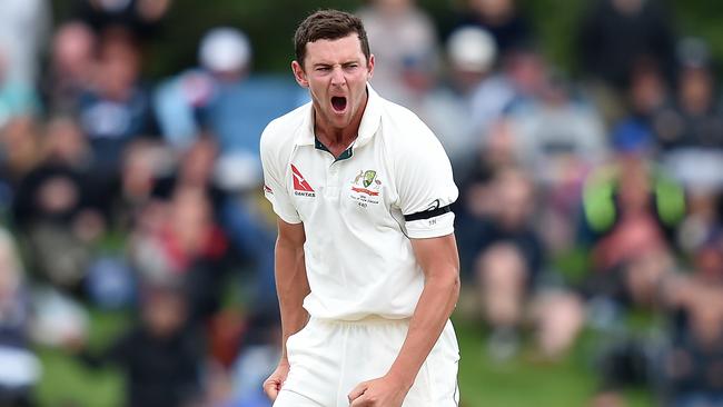 Josh Hazlewood has played a major role in Australia’s return to the top