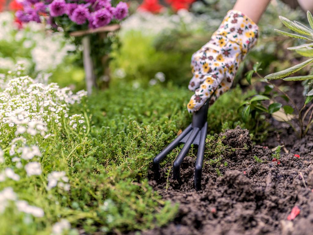 Improving your soil gives plants a head start.