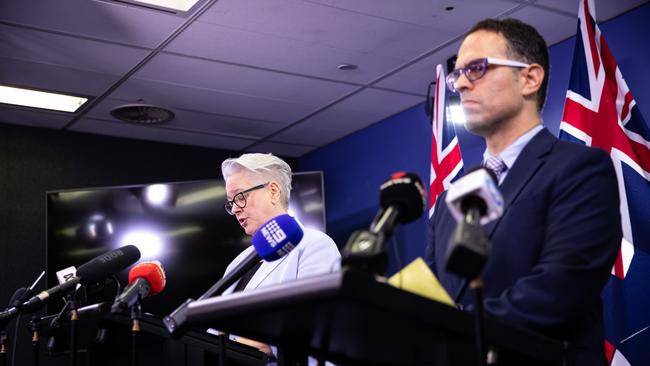 NSW Energy Minister Penny Sharpe (left) and Treasurer Daniel Mookhey announced the agreement with Origin Energy on Thursday. Picture: NewsWire / Christian Gilles