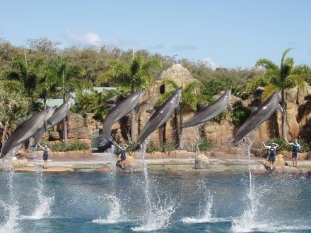 Sea World says its dolphin facilities are world-class.