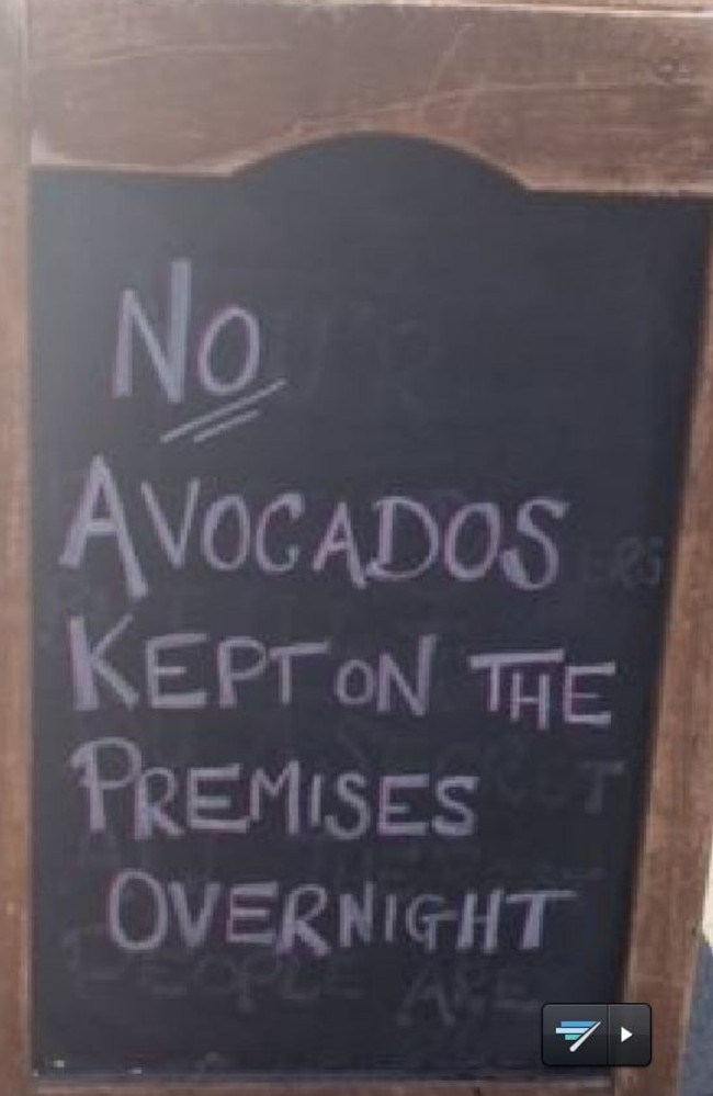 Comparing avocados to cash in Sydney. Picture: Twitter/Maria Lewis