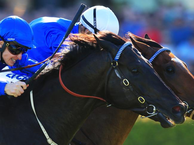 Hauraki poses as Doomben Cup teaser