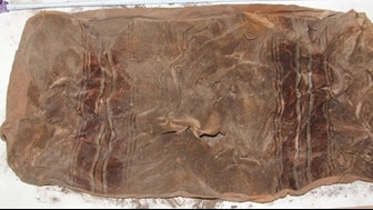 A set of brown striped velour bench seat covers were found with Wayne Youngkin’s remains in a septic tank at Brighton.