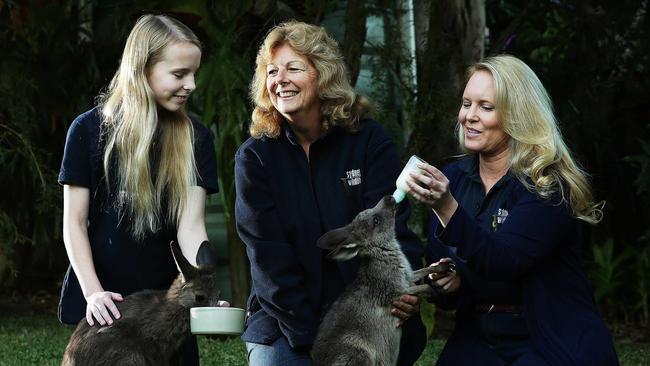 Sydney Wildlife have started a campaign to fundraise for an ambulance after a high number of roadkill recently. Kayleigh Greig 13, Joan Reid, and Lynleigh Grieg with two young Joey's under the care of Sydney Wildlife Volunteers. Picture: Braden Fastier