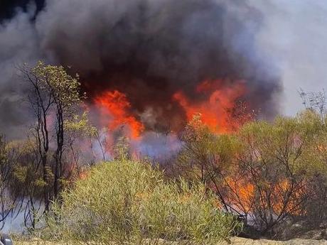 A large bushfire burning near Torrens Creek. Picture: Rural Fire Service Queensland-Queensland Fire Department