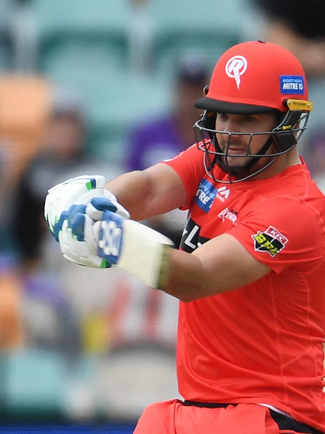 The South African featured for the Renegades last summer.