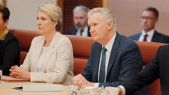 CANBERRA, AUSTRALIA - NewsWire Photos - 29 JULY, 2024: Australian Prime Minister Anthony Albanese holds a Full Ministry Meeting inside the Cabinet Room at Parliament House in Canberra. Pictured are Tanya Plibersek (L) and Tony Burke (R). Picture: NewsWire / David Beach