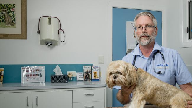 Veterinarian Peter Elliot, of Vetcall Ashmore, is part of the National Veterinary Care network. He is pictured with Max. Picture: Jerad Williams