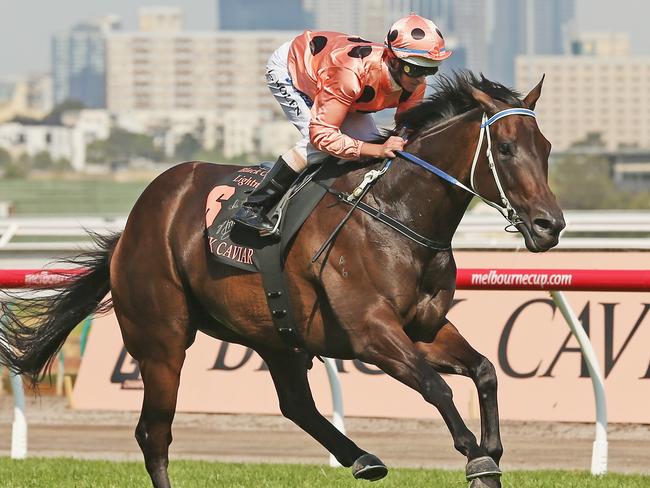 MELBOURNE, AUSTRALIA - FEBRUARY 16:  Jockey Luke Nolen riding Black Caviar wins race 7 the Black Caviar Lightning Stakes during Lightning Stakes Day at Flemington Racecourse on February 16, 2013 in Melbourne, Australia.  (Photo by Scott Barbour/Getty Images for the VRC)