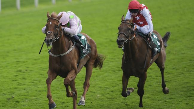 Vauban (pink/green spots) holds off Al Nayyir to win the Lonsdale Cup Stakes at York. Picture: Alan Crowhurst/Getty Images