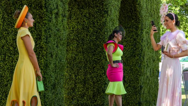 Early arrivals make a splash of colour. Picture: Getty Images