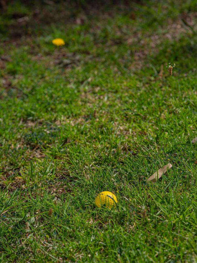 Golf balls left behind at Happy Valley Primary School. Picture: Ben Clark