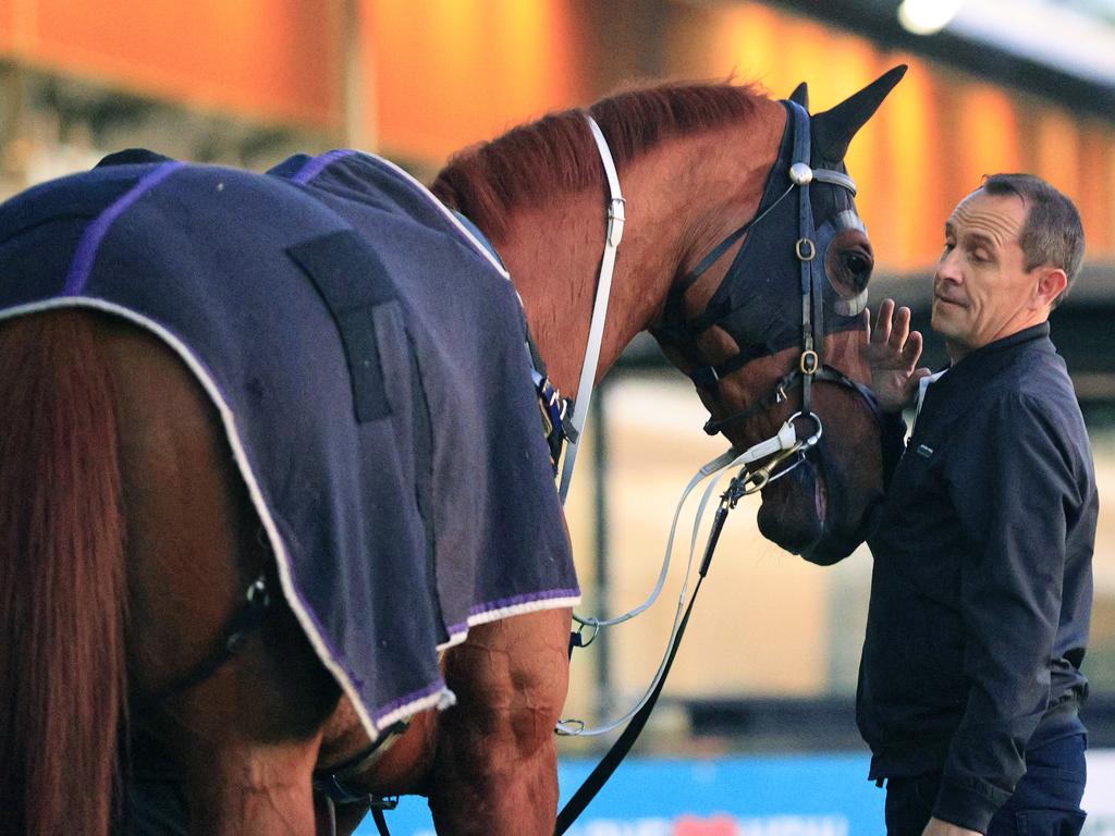 Chris Waller checks on Haut Brion Her.