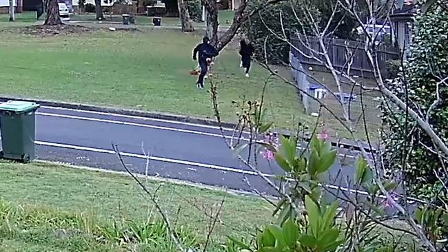 They were spotted in Condell Park in the morning.