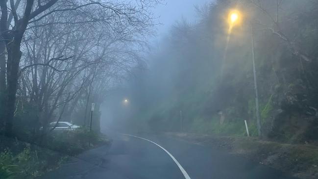 A foggy morning in Waterfall Gully on Monday. Picture: Kara Jung