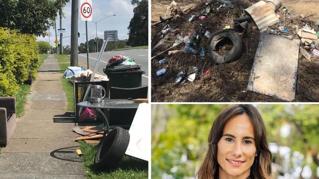 Tip fees could lead to illegal dumping. Southport and Surfers Paradise are the worst suburbs for it. Waste committee chair Shelley Curtis will present council's updated report.