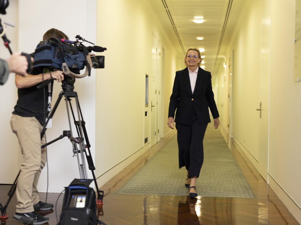 Sussan Ley has become the first woman to lead the Liberal Party. Picture: David Beach