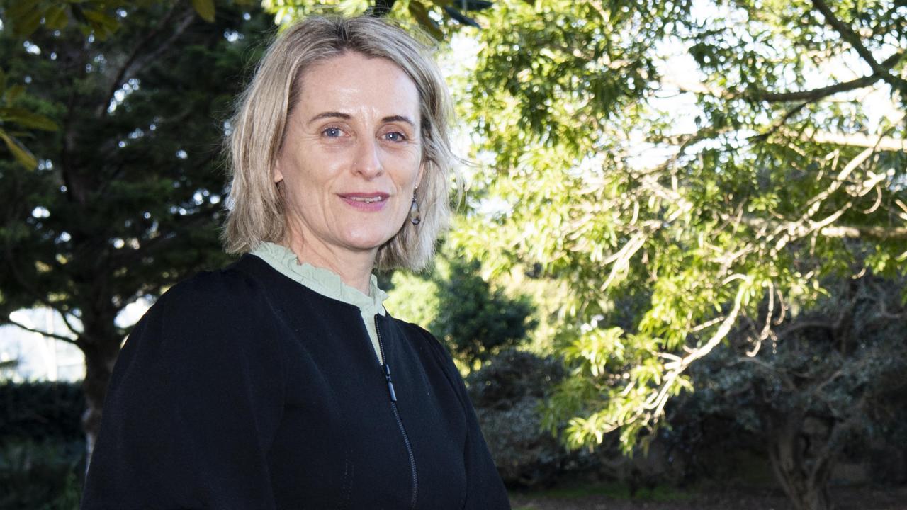 Greens MP Sue Higginson said she would introduce a new Bill to ban fossil fuel advertising .Picture: NCA NewsWire / Monique Harmer