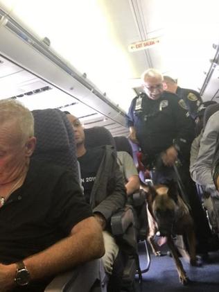 Sniffer dogs checked the plane after the incident. Picture: Facebook/Cathy Cole