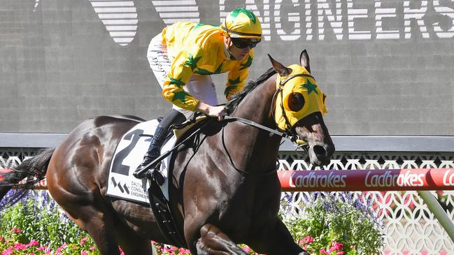 Shanwah (NZ) ridden by Ethan Brown wins the DCE Alister Clark Stakes at Moonee Valley Racecourse on March 22, 2025 in Moonee Ponds, Australia. (Photo by Pat Scala/Racing Photos via Getty Images)